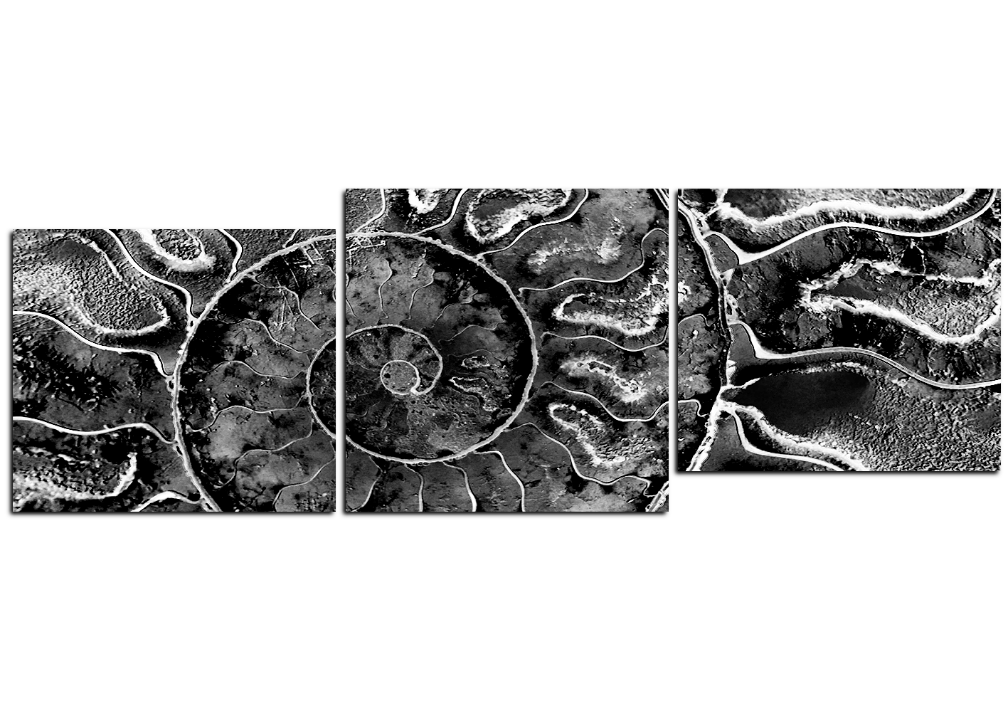 Obraz na plátně - Textura fosílie - panoráma Obraz na plátně - Textura fosílie - panoráma